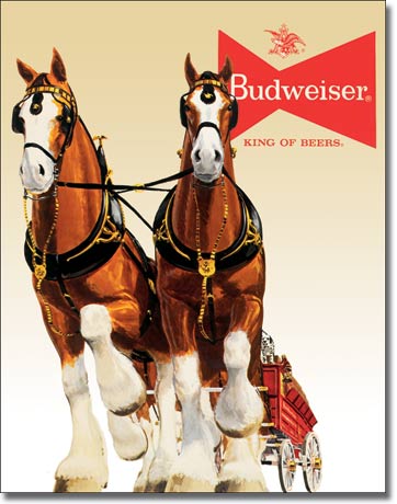 1631 - Bud Clydesdale Team